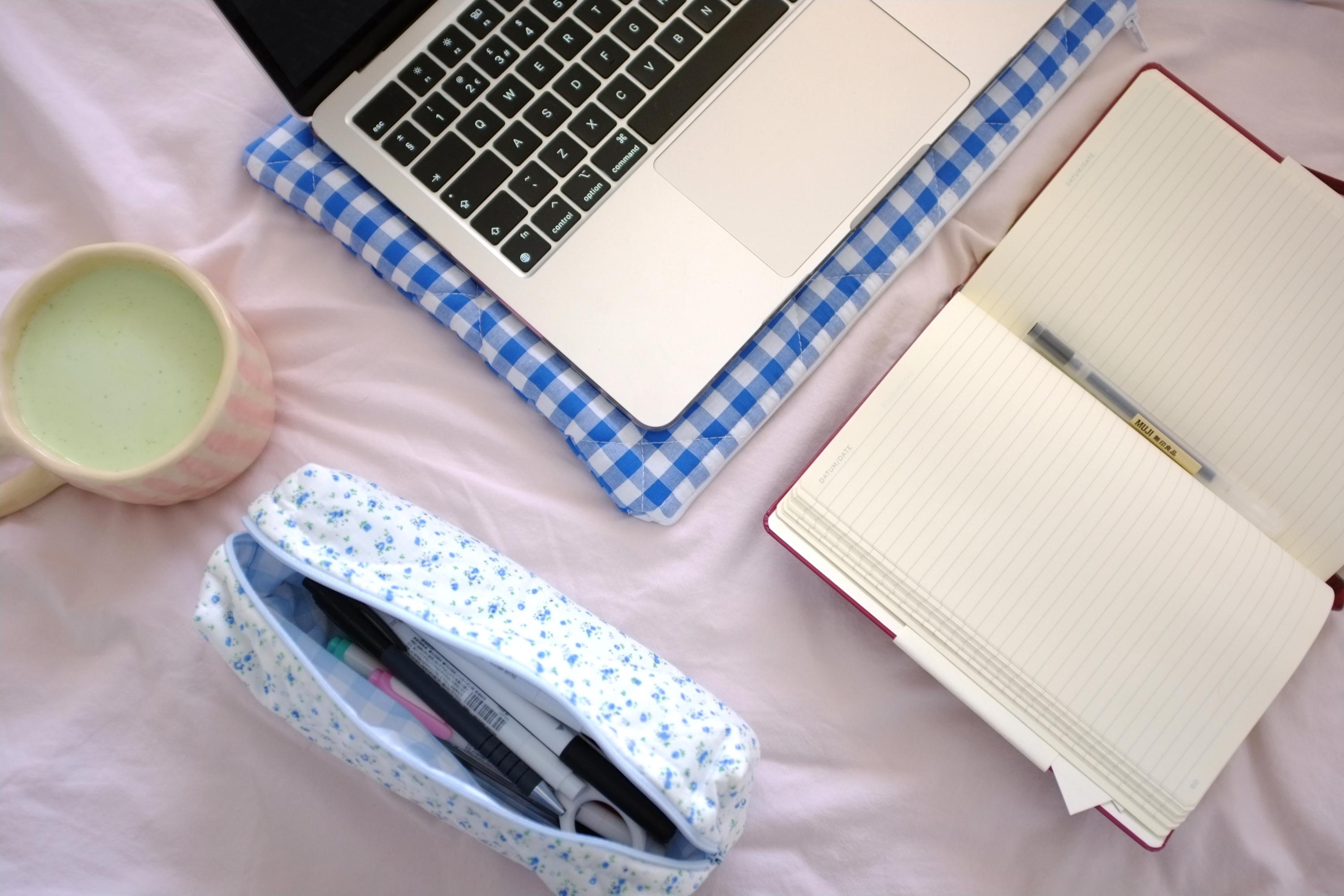 Pencil case light blue gingham