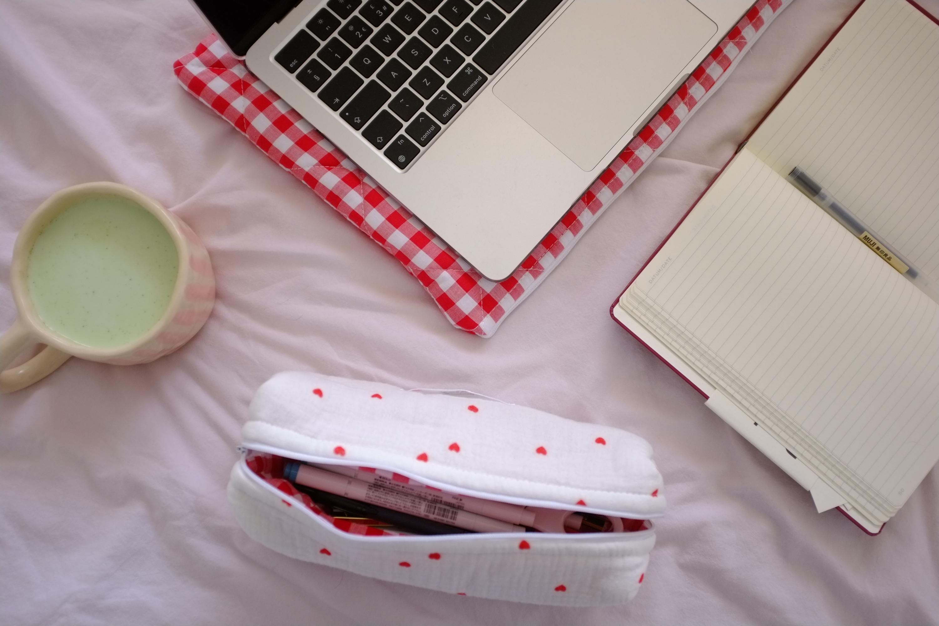 Laptop sleeve red gingham
